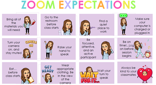 zoom expectations 